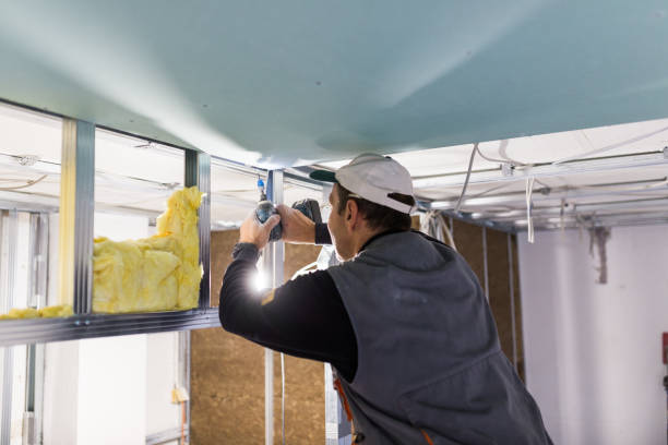 Best Commercial Insulation in Rockwell Place, TX